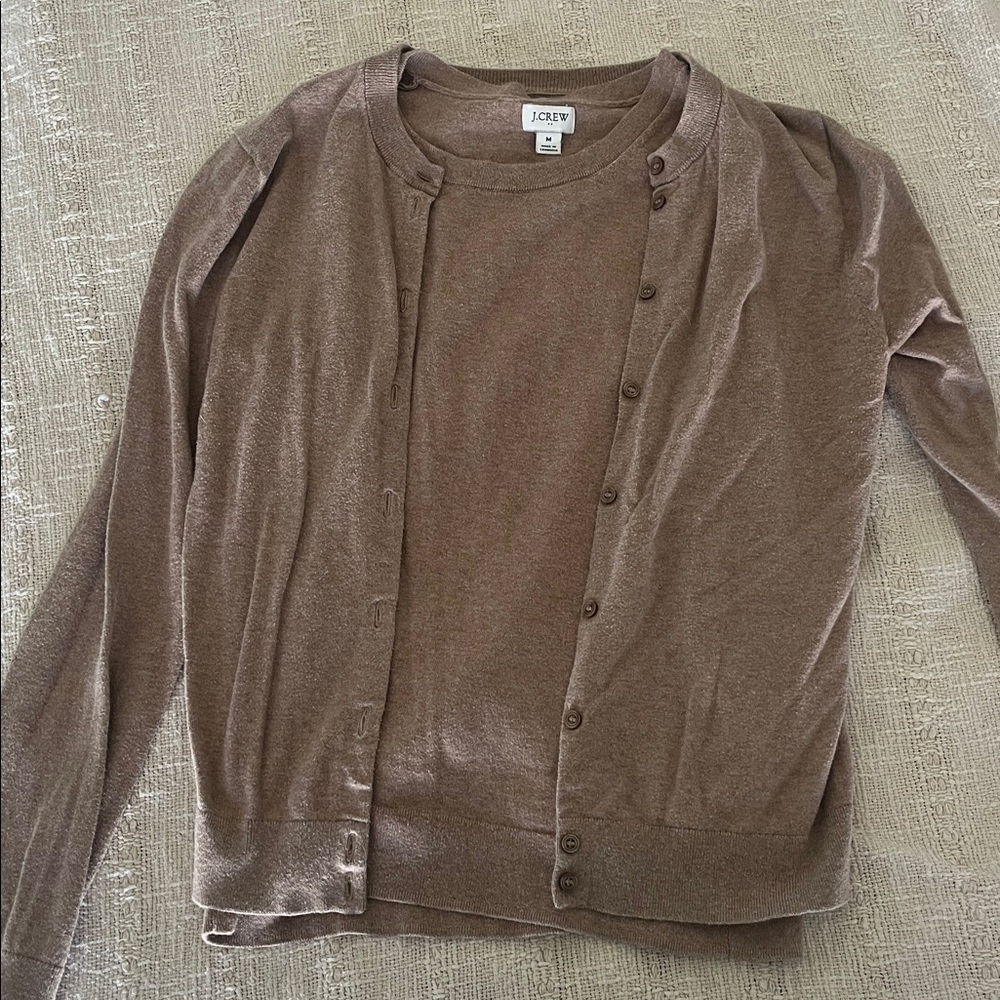 J. Crew Taupe Cardigan and Sweater Set